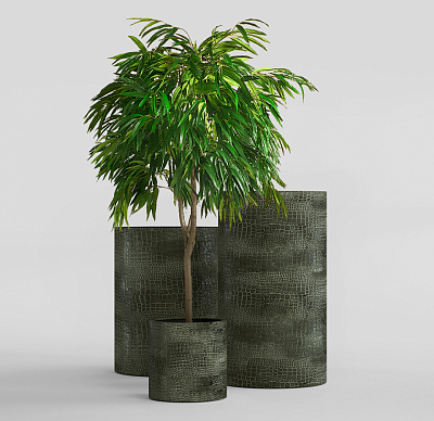 Кашпо CONCRETIKA CYLINDER CAYMAN GREEN D40H40 заказать и купить Кашпо CONCRETIKA CYLINDER CAYMAN GREEN D40H40 заказать и купить по цене 16 590 руб ниже рынка от производителя с доставкой.