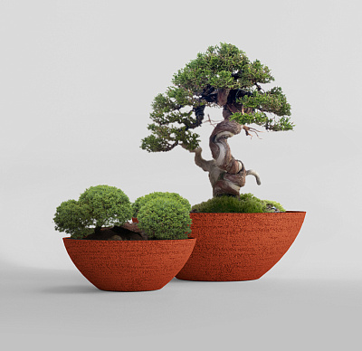 Кашпо CONCRETIKA BONSAY EROSIA CORAL D79H30 заказать и купить Кашпо CONCRETIKA BONSAY EROSIA CORAL D79H30 заказать и купить по цене 25 110 руб ниже рынка от производителя с доставкой.