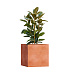 Кашпо CONCRETIKA CUBE RED CLAY 70x70x70 заказать и купить с доставкой из магазина производителя Конкретика по цене 61 890 руб.