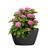 Кашпо CONCRETIKA BOWL EROSIA BLACK D52H29 заказать и купить с доставкой из магазина производителя Конкретика по цене 12 760 руб.
