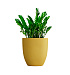 Кашпо CONCRETIKA VASE 3 GOLD D60H65 заказать и купить с доставкой из магазина производителя Конкретика по цене 39 180 руб.