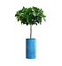 Кашпо CONCRETIKA CYLINDER COBALT BLUE D30H60 заказать и купить с доставкой из магазина производителя Конкретика по цене 16 040 руб.