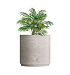 Кашпо CONCRETIKA CYLINDER XL CONCRETE WHITE D120H120 заказать и купить с доставкой из магазина производителя Конкретика по цене 161 030 руб.