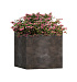 Кашпо CONCRETIKA CUBE TAUPE CONCRETE 30x30x30 заказать и купить с доставкой из магазина производителя Конкретика по цене 11 970 руб.
