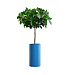 Кашпо CONCRETIKA CYLINDER DARK BLUE D30H60 заказать и купить с доставкой из магазина производителя Конкретика по цене 14 190 руб.