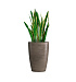 Кашпо CONCRETIKA CONUS SMOKEY GREY D48H60 заказать и купить с доставкой из магазина производителя Конкретика по цене 25 280 руб.