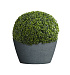 Кашпо CONCRETIKA BOWL EROSIA GREY D65H36 заказать и купить с доставкой из магазина производителя Конкретика по цене 19 130 руб.