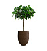 Кашпо CONCRETIKA BARREL EROSIA BROWN D41H60 заказать и купить с доставкой из магазина производителя Конкретика по цене 21 680 руб.