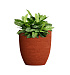 Кашпо CONCRETIKA VASE 3 EROSIA CORAL D30H32 заказать и купить с доставкой из магазина производителя Конкретика по цене 10 710 руб.