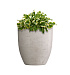 Кашпо CONCRETIKA VASE 3 CONCRETE WHITE D40H45 заказать и купить с доставкой из магазина производителя Конкретика по цене 15 970 руб.