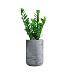 Кашпо CONCRETIKA TOPPER CONCRETE GREY LIGHT D40H60 заказать и купить с доставкой из магазина производителя Конкретика по цене 21 290 руб.