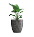 Кашпо CONCRETIKA VASE 3 CONCRETE GREY DARK D90H95 заказать и купить с доставкой из магазина производителя Конкретика по цене 93 410 руб.