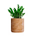 Кашпо CONCRETIKA CYLINDER XL CLASSIC CLAY D70H80 заказать и купить с доставкой из магазина производителя Конкретика по цене 52 620 руб.