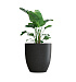 Кашпо CONCRETIKA VASE 3 EGG BLACK D90H95 заказать и купить с доставкой из магазина производителя Конкретика по цене 77 840 руб.