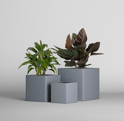 Кашпо CONCRETIKA QADRO ARCTIC BLUE 30x30x30 заказать и купить Кашпо CONCRETIKA QADRO ARCTIC BLUE 30x30x30 заказать и купить по цене 7 875 руб ниже рынка от производителя с доставкой.