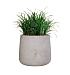 Кашпо CONCRETIKA CONE CONCRETE WHITE D38H41 заказать и купить с доставкой из магазина производителя Конкретика по цене 17 290 руб.