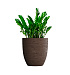 Кашпо CONCRETIKA VASE 3 EROSIA BROWN D60H65 заказать и купить с доставкой из магазина производителя Конкретика по цене 39 180 руб.