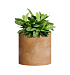 Кашпо CONCRETIKA CYLINDER CLASSIC CLAY D30H30 заказать и купить с доставкой из магазина производителя Конкретика по цене 10 020 руб.