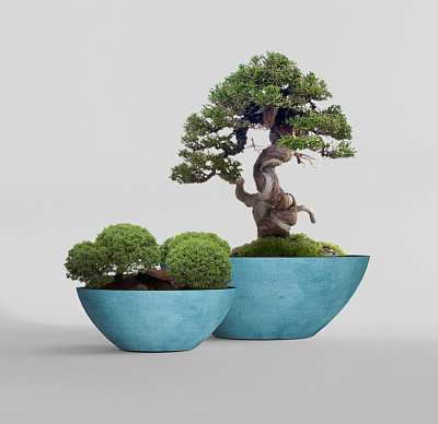 Кашпо CONCRETIKA BONSAY BLUE SKY D79H30 заказать и купить Кашпо CONCRETIKA BONSAY BLUE SKY D79H30 заказать и купить по цене 24 670 руб ниже рынка от производителя с доставкой.