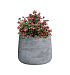 Кашпо CONCRETIKA CONE CONCRETE GREY LIGHT D24H26 заказать и купить с доставкой из магазина производителя Конкретика по цене 6 650 руб.