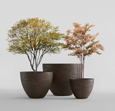 Кашпо CONCRETIKA UPON EROSIA BROWN D55H45 заказать и купить Кашпо CONCRETIKA UPON EROSIA BROWN D55H45 заказать и купить по цене 19 130 руб ниже рынка от производителя с доставкой.