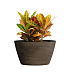 Кашпо CONCRETIKA BOWL SMOKEY GREY D80H45 заказать и купить с доставкой из магазина производителя Конкретика по цене 34 600 руб.