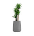 Кашпо CONCRETIKA CONE LONDON GREY D38H60 заказать и купить с доставкой из магазина производителя Конкретика по цене 21 070 руб.