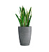 Кашпо CONCRETIKA CONUS SMOKEY BLUE D48H60 заказать и купить с доставкой из магазина производителя Конкретика по цене 25 280 руб.