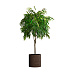 Кашпо CONCRETIKA CYLINDER EROSIA BROWN D45H45 заказать и купить с доставкой из магазина производителя Конкретика по цене 20 410 руб.