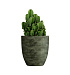 Кашпо CONCRETIKA VASE 3 CAYMAN GREEN D50H55 заказать и купить с доставкой из магазина производителя Конкретика по цене 22 950 руб.