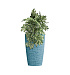 Кашпо CONCRETIKA CONUS EROSIA BLUE D39H60 заказать и купить с доставкой из магазина производителя Конкретика по цене 19 130 руб.