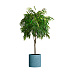 Кашпо CONCRETIKA CYLINDER EROSIA BLUE D45H45 заказать и купить с доставкой из магазина производителя Конкретика по цене 20 410 руб.