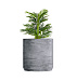 Кашпо CONCRETIKA CYLINDER XL CONCRETE GREY LIGHT D100H105 заказать и купить с доставкой из магазина производителя Конкретика по цене 107 780 руб.