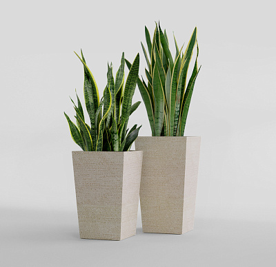 Кашпо CONCRETIKA CONIC EROSIA YELLOW 30x30x50 заказать и купить Кашпо CONCRETIKA CONIC EROSIA YELLOW 30x30x50 заказать и купить по цене 15 300 руб ниже рынка от производителя с доставкой.