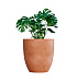 Кашпо CONCRETIKA VASE 3 RED CLAY D75H82 заказать и купить с доставкой из магазина производителя Конкретика по цене 57 140 руб.