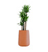 Кашпо CONCRETIKA CONE CARROT D38H60 заказать и купить с доставкой из магазина производителя Конкретика по цене 21 070 руб.