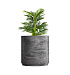 Кашпо CONCRETIKA CYLINDER XL CONCRETE GREY DARK D100H105 заказать и купить с доставкой из магазина производителя Конкретика по цене 107 780 руб.