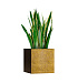 Кашпо CONCRETIKA CUBE RICH GOLD 40x40x40 заказать и купить с доставкой из магазина производителя Конкретика по цене 16 730 руб.
