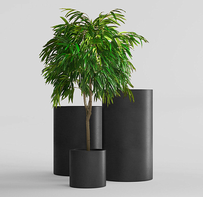 Кашпо CONCRETIKA CYLINDER NERO D60H65 заказать и купить Кашпо CONCRETIKA CYLINDER NERO D60H65 заказать и купить по цене 31 050 руб ниже рынка от производителя с доставкой.