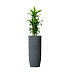 Кашпо CONCRETIKA YAR EROSIA GREY D46H110 заказать и купить с доставкой из магазина производителя Конкретика по цене 43 350 руб.