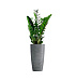 Кашпо CONCRETIKA CONUS SMOKEY BLUE D30H55 заказать и купить с доставкой из магазина производителя Конкретика по цене 13 310 руб.