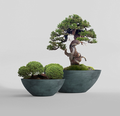 Кашпо CONCRETIKA BONSAY OCEAN GREEN D79H30 заказать и купить Кашпо CONCRETIKA BONSAY OCEAN GREEN D79H30 заказать и купить по цене 26 200 руб ниже рынка от производителя с доставкой.