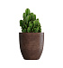 Кашпо CONCRETIKA VASE 3 COFFEE D50H55 заказать и купить с доставкой из магазина производителя Конкретика по цене 22 550 руб.