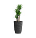 Кашпо CONCRETIKA CONUS EROSIA BLACK D50H69 заказать и купить с доставкой из магазина производителя Конкретика по цене 33 670 руб.