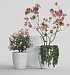 Кашпо CONCRETIKA VASE 3 EGG WHITE D50H55 заказать и купить с доставкой из магазина производителя Конкретика по цене 19 960 руб.