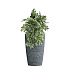 Кашпо CONCRETIKA CONUS EROSIA GREY D39H60 заказать и купить с доставкой из магазина производителя Конкретика по цене 19 130 руб.