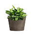 Кашпо CONCRETIKA CRATER SMOKEY GREY D30H24 заказать и купить с доставкой из магазина производителя Конкретика по цене 6 650 руб.