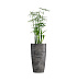 Кашпо CONCRETIKA CONUS CONCRETE GREY DARK D40H80 заказать и купить с доставкой из магазина производителя Конкретика по цене 23 950 руб.