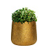Кашпо CONCRETIKA CONE RICH GOLD D32H36 заказать и купить с доставкой из магазина производителя Конкретика по цене 11 730 руб.