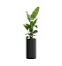 Кашпо CONCRETIKA CYLINDER EGG BLACK D40H80 заказать и купить с доставкой из магазина производителя Конкретика по цене 22 950 руб.